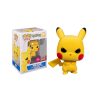 funko pop Pokemon 598 Pikachu Grumpy nycc20 flocked goodin shop